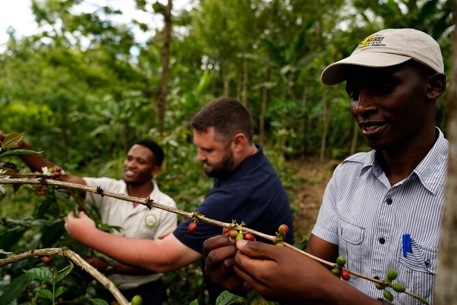 Private Meru Coffee Tour in Nkoaranga - A Private Meru Coffee Lesson at the Foot of Mount Meru