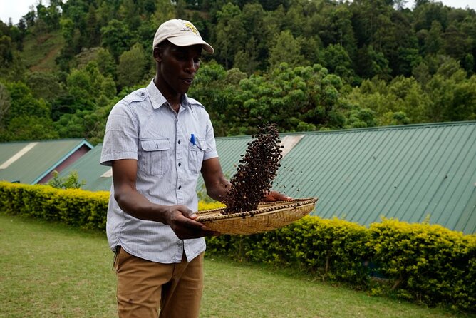 Private Meru Coffee Tour in Nkoaranga - Meru Coffee Traditions You Can Actually Explain
