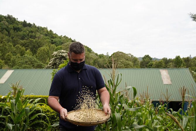 Private Meru Coffee Tour in Nkoaranga - Tasting the Result, Plus a Coffee Take-Home Bonus