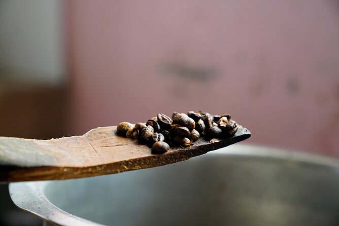 Private Meru Coffee Tour in Nkoaranga - When to Go, and What Weather Can Change