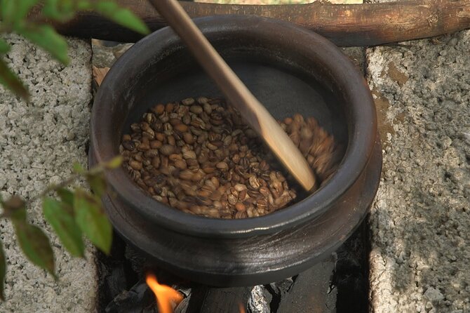 Private Meru Coffee Tour in Nkoaranga - Who This Tour Is Best For