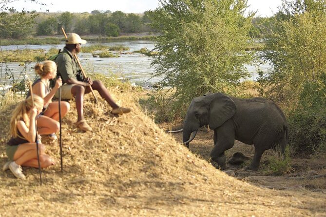 Private Mikumi Adventure - Mikumi from Dar es Salaam: why this “short safari” makes sense