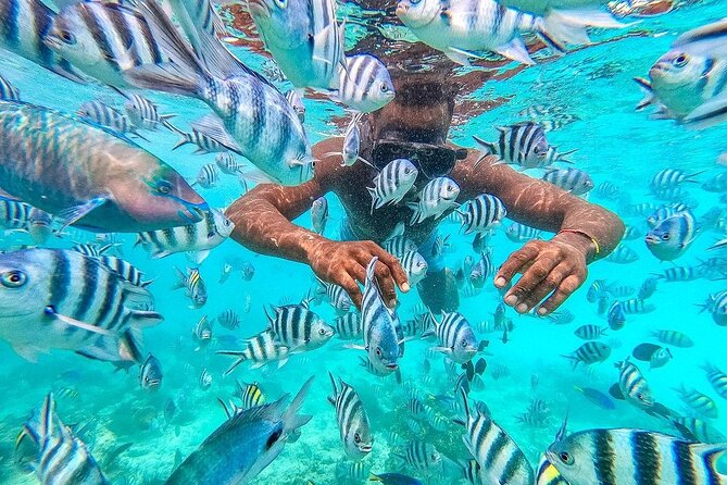 Private Mnemba Island and Turtle Aquarium Tour - Mnemba Island: 5 hours for snorkeling, sand time, and reef views