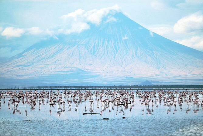 Private Multi day Safari tour in Tanzania - Ngorongoro rim walks with Maasai warrior support, donkeys, and armed rangers