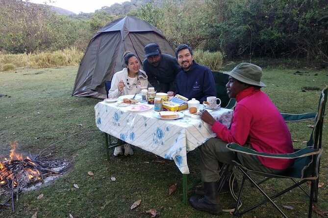Private Multi day Safari tour in Tanzania - Tarangire National Park: big numbers in dry times and strong birdwatching
