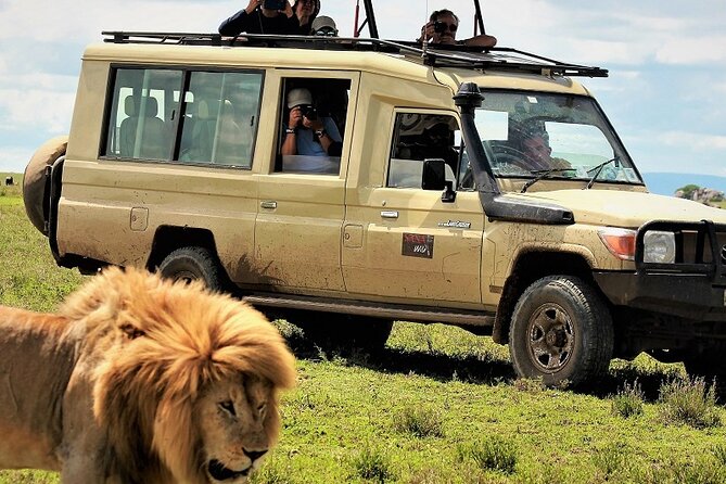 Private Multi Day Serengeti Safari - Key highlights you will care about