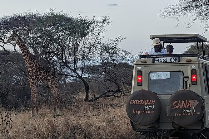 Private Multi Day Tour Tanzania Safari - Serengeti National Park: Sunrise Feel and Endless Plains Energy