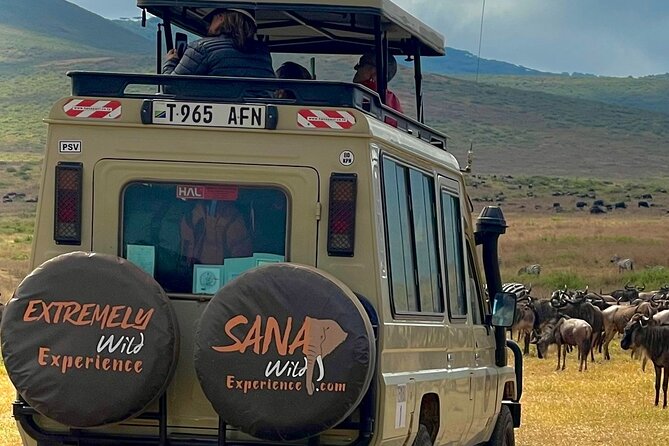 Private Multi Day Tour Tanzania Safari - Who You’ll Travel With, and Why the Guide Makes It Better