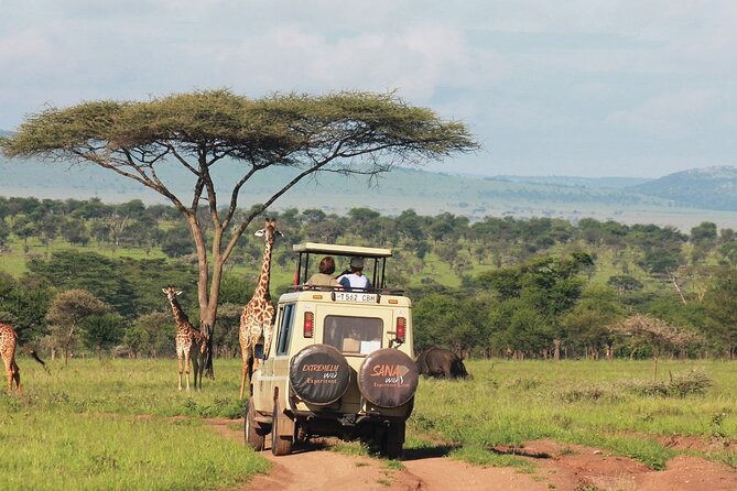 Private Multi Day Tour Tanzania Safari - Comfort, Food, and What’s Included for Smarter Budgeting