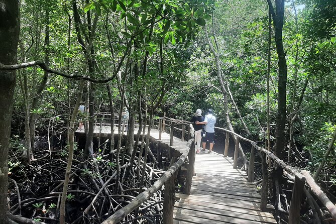 Private Spice Tour and Jozani Forest in Zanzibar - Key highlights worth planning for