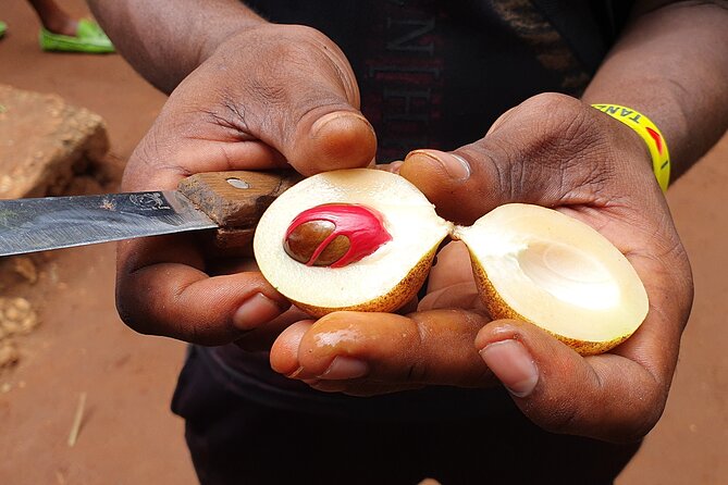 Private Spice Tour in Zanzibar with Pick Up - Fruits and the snack strategy, from rose apple to guava