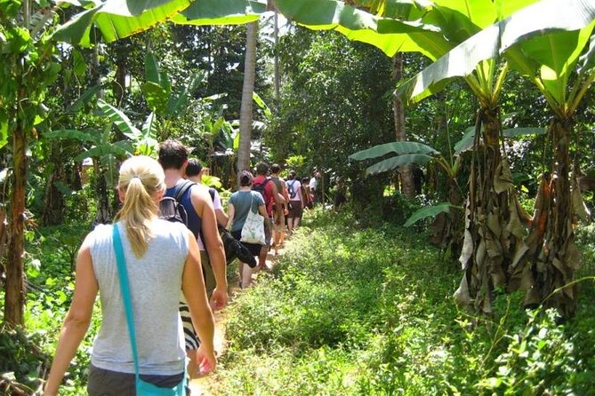 Private Stone Town Half Day Tour - Zanzibar Spices and Heritage Centre: A Smell-First Welcome