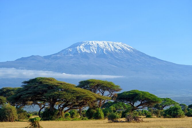 Private Tour to Marangu Waterfalls, Chagga Caves, Coffee tour & Hot Springs - Key points I’d bookmark before you go