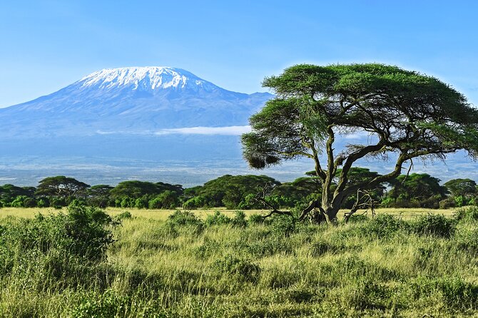 Private Tour to Marangu Waterfalls, Chagga Caves, Coffee tour & Hot Springs - A private 12-hour mix that actually flows