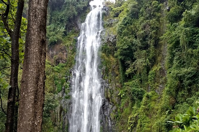 Private Tour to Materuni waterfalls, coffee tour & Kikuletwa hot- springs - Logistics that can make or break the day