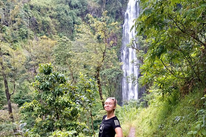 Private Tour to Materuni waterfalls, coffee tour & Kikuletwa hot- springs - Who this tour is best for (and who should pick something else)