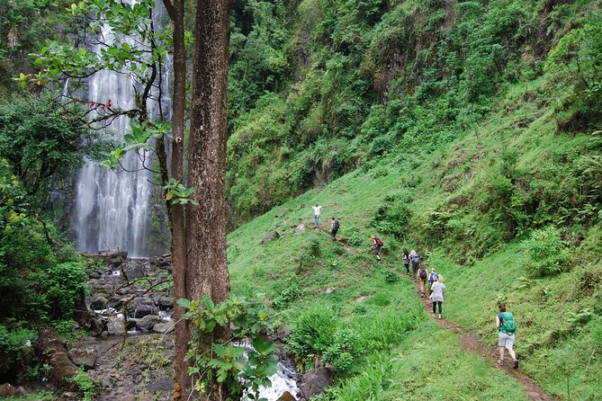 Private Tour to Materuni Waterfalls, coffee tour, Kikuletwa Hot Springs & Maasai - Key highlights I’d plan around