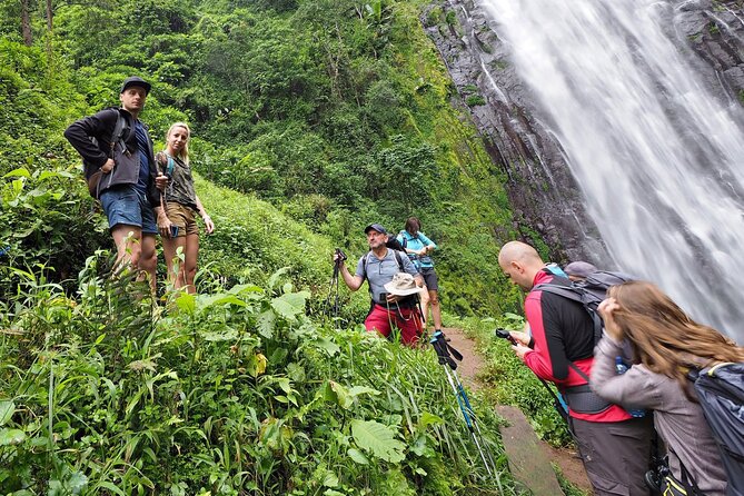 Private Tour to Materuni Waterfalls, coffee tour, Kikuletwa Hot Springs & Maasai - Food, wine, and included extras that reduce decision fatigue