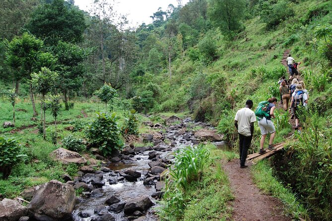 Private Tour to Materuni Waterfalls, coffee tour, Kikuletwa Hot Springs & Maasai - Price and value: when $80 feels fair