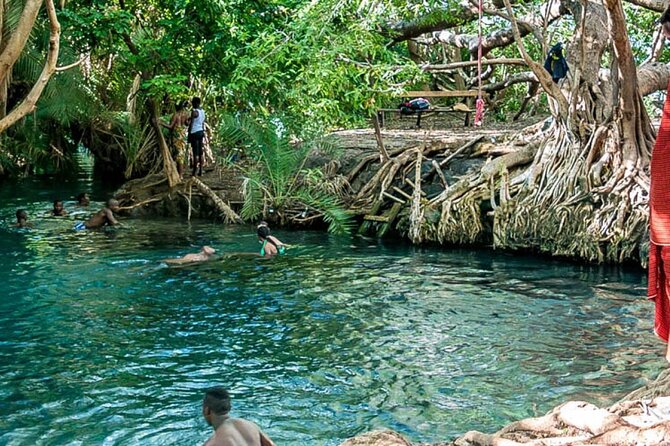 Private Tour to Materuni Waterfalls, coffee tour, Kikuletwa Hot Springs & Maasai - What kind of traveler should book this?