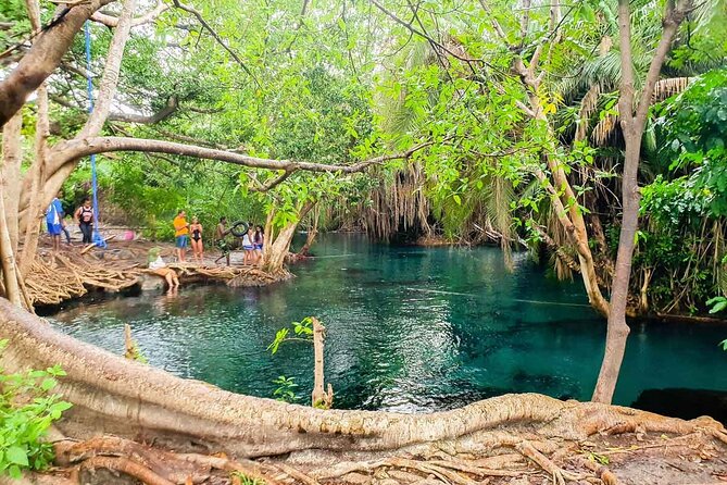 Private Tour to Materuni Waterfalls, coffee tour, Kikuletwa Hot Springs & Maasai - Materuni Waterfalls: the 135 stairs plus the Kilimanjaro view gamble