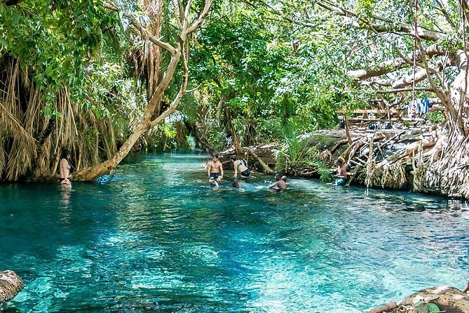 Private Tour to Materuni waterfalls, coffee tour & Kikuletwa hot- springs - Chagga village lunch and banana beer: the cultural break you actually remember