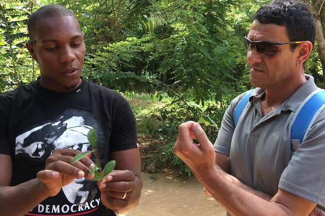 Private Tour Zanzibar Unique Stone Town with spice Farm Plantations - What makes the spice farm portion feel different from a quick stop