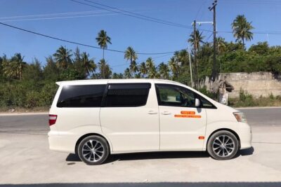 Private Transfer from Abeid Amani Karume Airport to Zanzibar