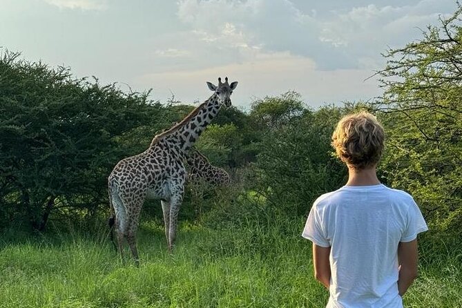 Private Walking Tour with Giraffes - Why the Arusha Giraffe Centre walking safari feels different than a big group