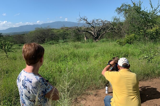 Private Walking Tour with Giraffes - The walking portion: how close you can get to giraffes, respectfully