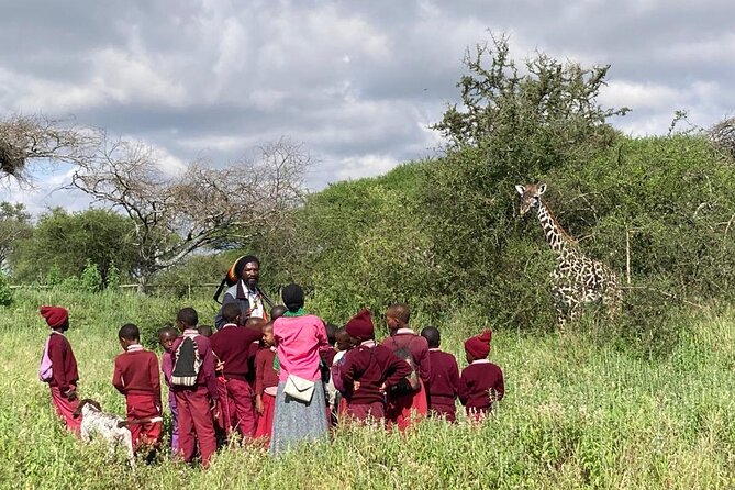 Private Walking Tour with Giraffes - Price and value: is $55 per person worth it?