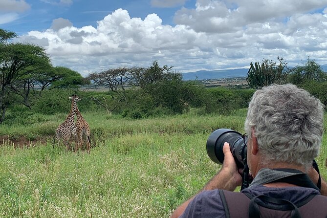 Private Walking Tour with Giraffes - Timing, pacing, and what moderate fitness really means