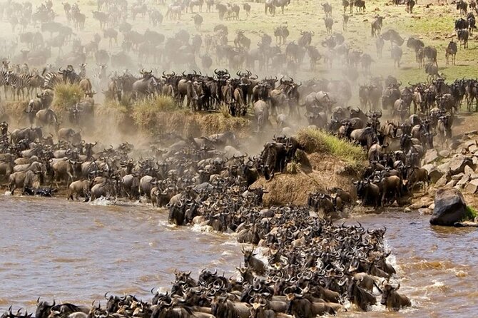 PRIVATE Wildebeest Calving Safari, Tanzania, January to March - Small-group setup, 4x4 roof seating, and the 7:00 am start
