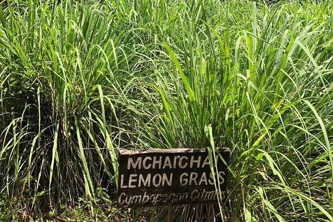 Private Zanzibar Spice Farm Tour - Jambo Spice Farm: from soil and steam to smelling and tasting