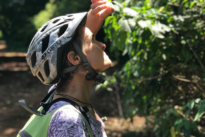 Rau Forest Bike tour - Sugar cane farms and rice fields: what to expect, and what to bring to the stop