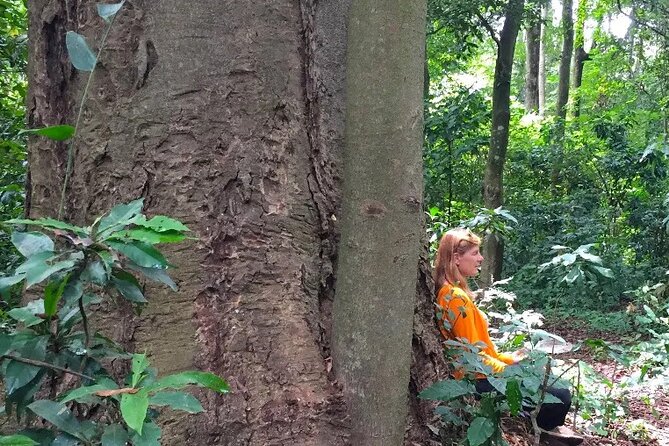 Rau Forest Bike tour - Lunch with a local family: pilau, veranda conversations, and real hospitality