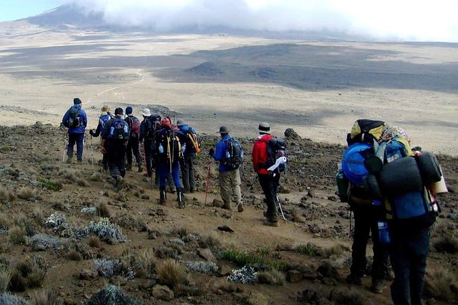 Rongai Route 6 Days 5 Nights/Kilimanjaro climb - What to pack and how to handle the weather you might face