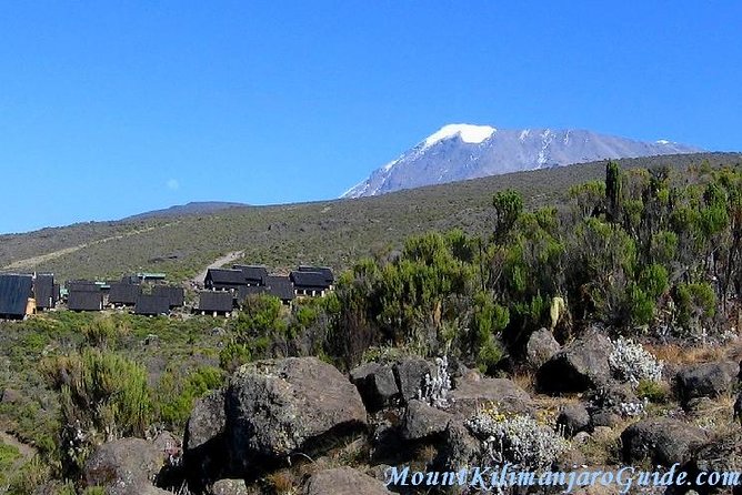 Rongai Route 6 Days 5 Nights/Kilimanjaro climb - Who this Rongai climb fits best