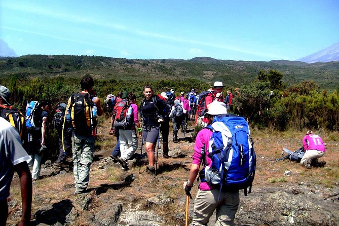 Rongai Route 6 Days 5 Nights/Kilimanjaro climb - Your day-by-day climb: from fields to the crater rim