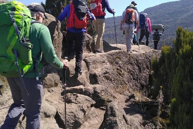 Rongai Route 7 Days - Day 3, Second Cave Camp to Kikelewa Camp: leave the forest behind and aim at Mawenzi