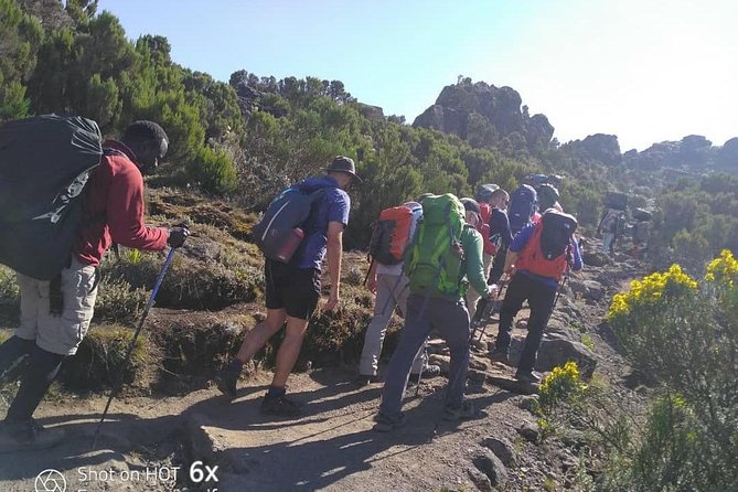 Rongai Route 7 Days - Day 6 summit night, Kibo Hut to Uhuru Peak and down to Horombo Hut