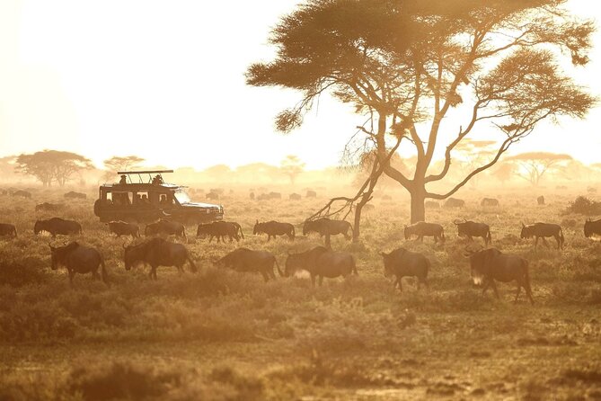 Saadani Day Trip - What you’re really hoping to see: Big Five and coastal wildlife