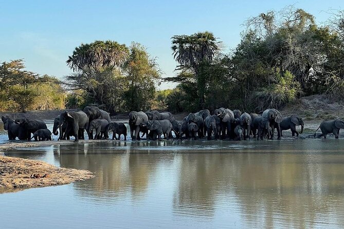Saadani National Park Day Tour - Key highlights you should care about