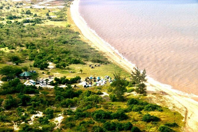 Saadani National Park Day Tour - Game drive expectations: what you can realistically look for