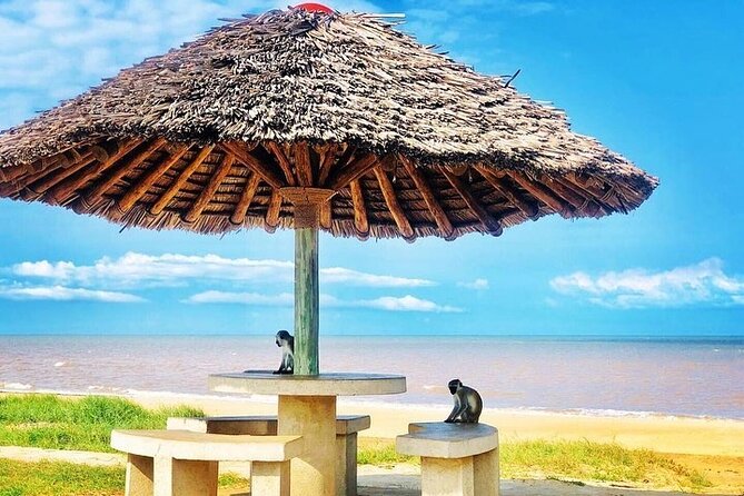 Saadani National Park Day Tour - What makes the guide experience feel worth it