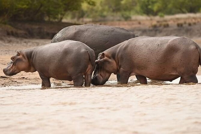 Saadani National Park Day Tour - The Dar es Salaam drive and why 6:00 am is a strategy
