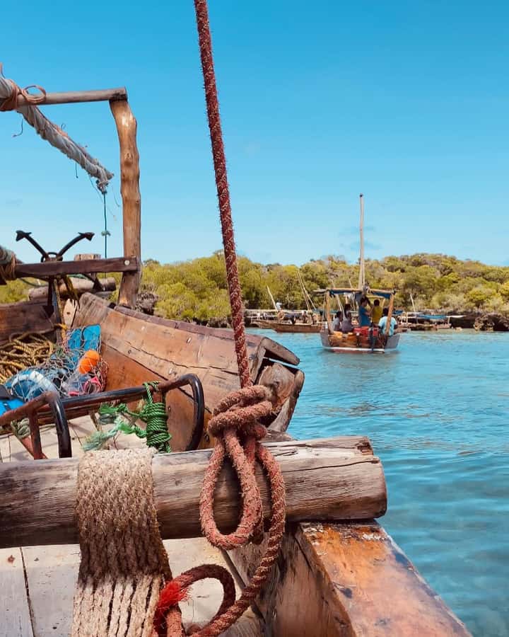 SAFARI BLUE ZANZIBAR : PRIVATE TRIP - The sandbank pause: turquoise water and a lunch break vibe