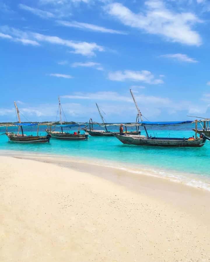 SAFARI BLUE ZANZIBAR : PRIVATE TRIP - Guides in your language, and why that matters at sea