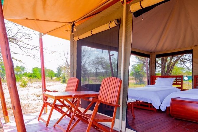 Safari & Culture - Arusha day six: shopping and a gentler landing