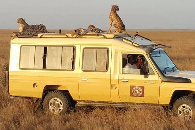 Safari in Tanzania 5 days: Manyara, Ngorongoro, Serengeti - Food, park fees, and what you really get for the money